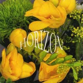 Horizon (feat. Erica Bear)