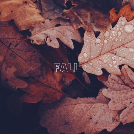 Fall | Boomplay Music