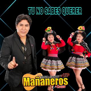 TU NO SABES QUERER 2013