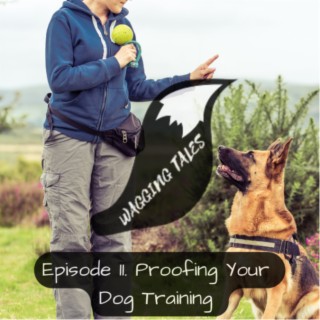 Episode 11. Proofing Your  Dog Training