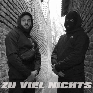 ZU VIEL NICHTS ft. DNS lyrics | Boomplay Music