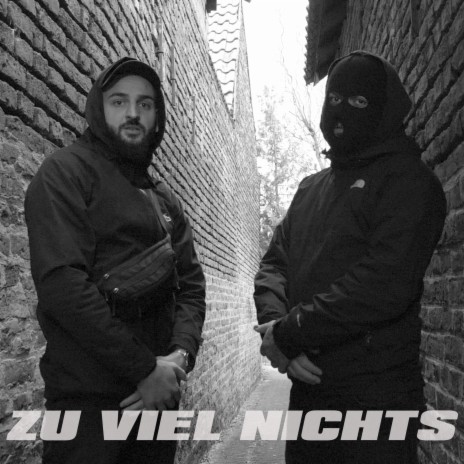 ZU VIEL NICHTS ft. DNS | Boomplay Music