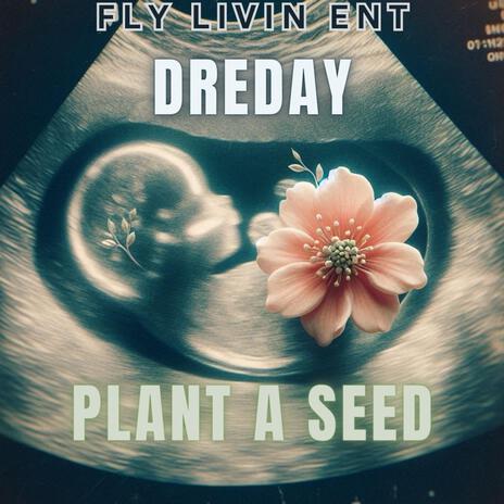 Plant a seed