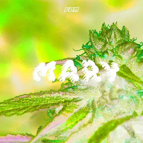 MARY | Boomplay Music