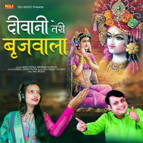 Deewani Teri Brijwala ft. Birjesh Sorkha | Boomplay Music