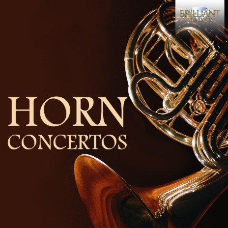 Concerto No. 2 in F Major, RV 539: II. Larghetto ft. Siegfried Kurz & Peter Damm | Boomplay Music