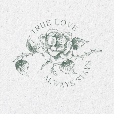 True Love Always Stays | Boomplay Music