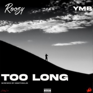 Too Long ft. YMB lyrics | Boomplay Music