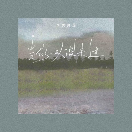 当你从没来过 | Boomplay Music