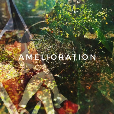 Amelioration | Boomplay Music