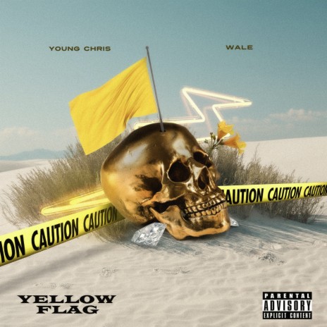 Yellow Flag ft. Wale | Boomplay Music