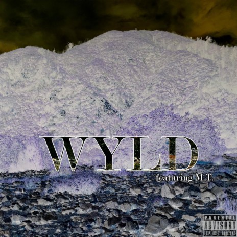 Wyld ft. M.T. | Boomplay Music
