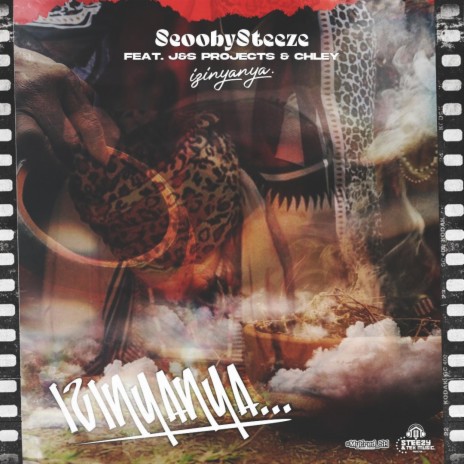 Izinyanya ft. J&S Projects & Chley
