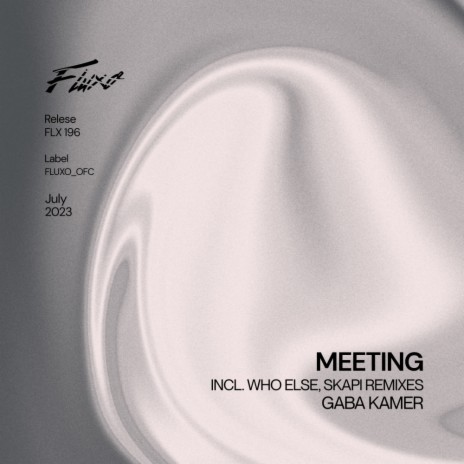 Meeting (Who Else Remix)