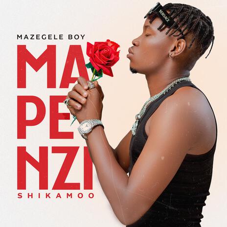 Mapenzi Shikamoo | Boomplay Music