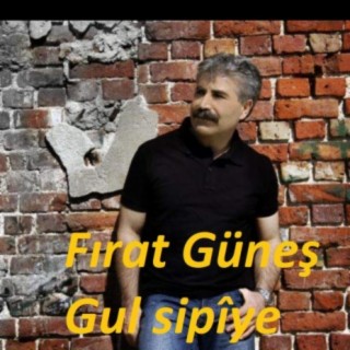 Gul Sipîye