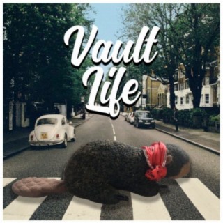 Vault Life