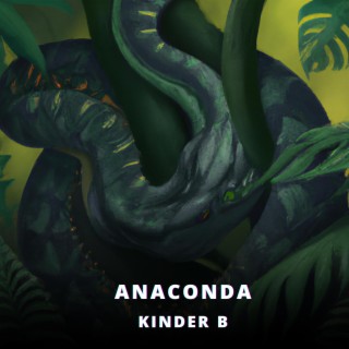 Anaconda