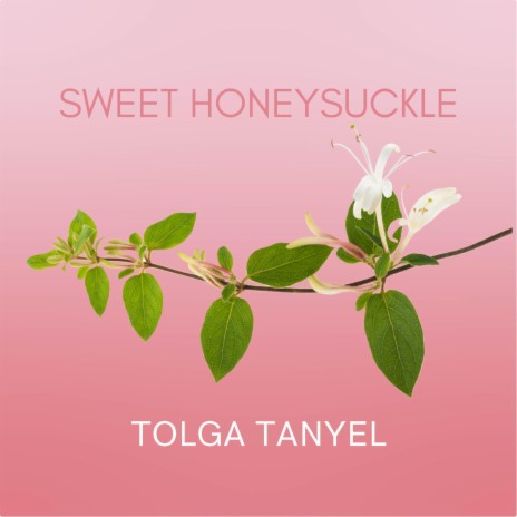 Sweet Honeysuckle | Boomplay Music