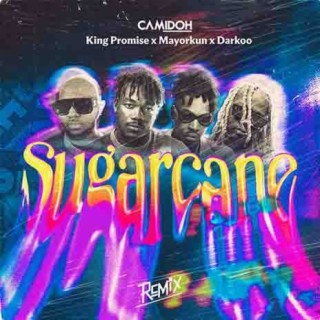 Sugarcane Remix lyrics | Boomplay Music