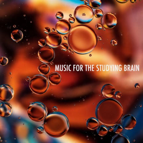 New Dawn ft. Study Music & Sounds & Study Power | Boomplay Music