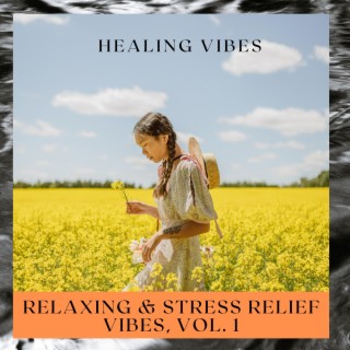 Relaxing & Stress Relief Vibes, Vol. 1