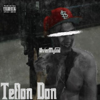 Teflon Don lyrics | Boomplay Music
