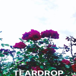 teardrop (you & me)