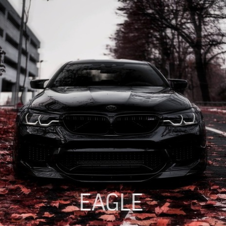 Eagle | Boomplay Music