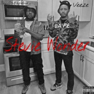 Stevie Wonder (feat. Veeze)