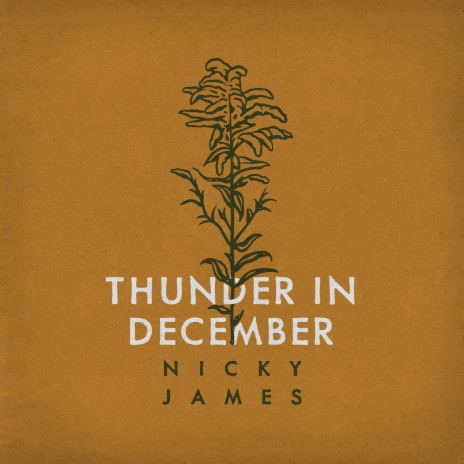 Thunder in December | Boomplay Music