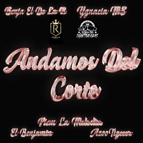 Andamo Del Corte ft. Benja el de la R, El Benjamin, ygnaciams & A200Tigeeer