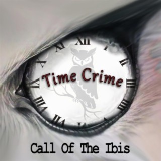 Time Crime (Radio Edit)