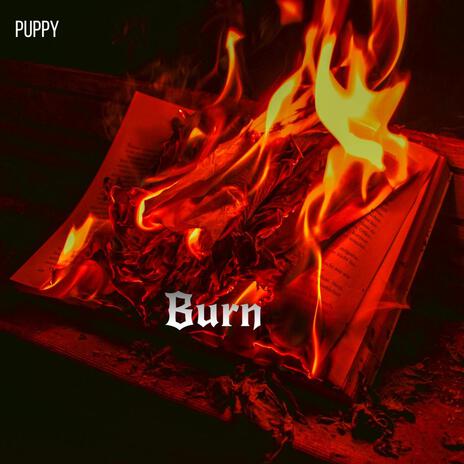 Burn | Boomplay Music