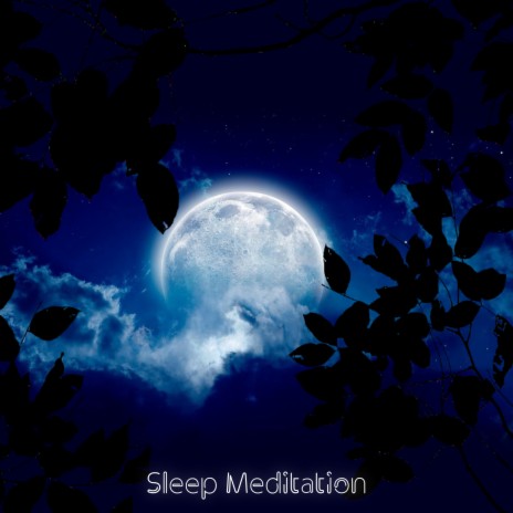 Melody ft. Deep Sleep Music Experience | Boomplay Music