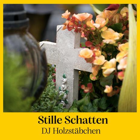 Stille Schatten | Boomplay Music