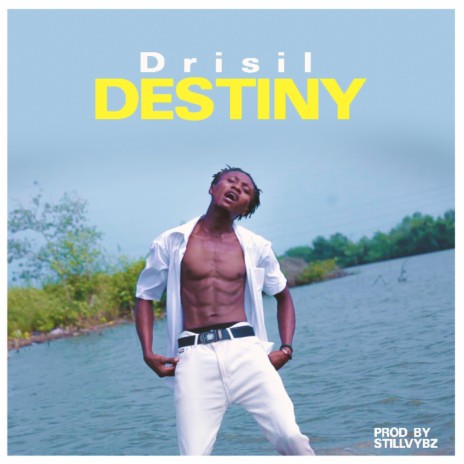Drisil destiny | Boomplay Music