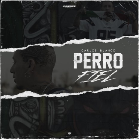 Perro Fiel | Boomplay Music