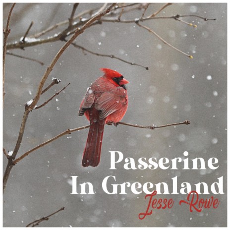 Passerine In Greenland | Boomplay Music