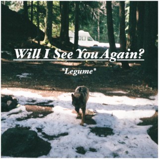 Will I See You Again? lyrics | Boomplay Music