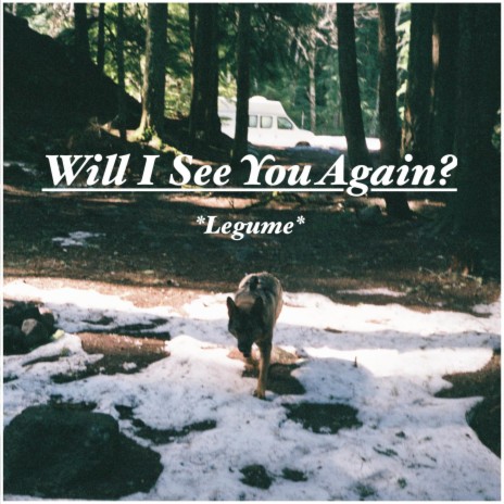 Will I See You Again? | Boomplay Music