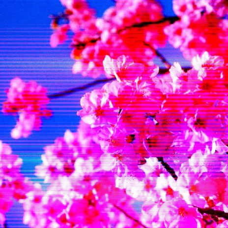 blossum | Boomplay Music