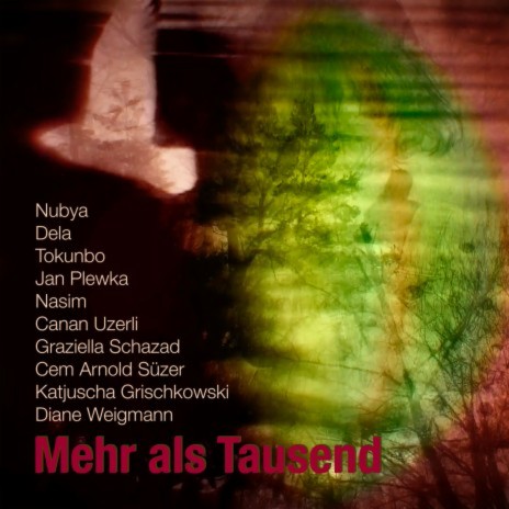 Mehr als Tausend ft. Jan Plewka, Graziella Schazad, Nubya, Tokunbo & Nasim | Boomplay Music