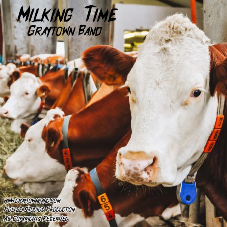 Milking Time