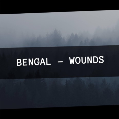 Wounds | Boomplay Music