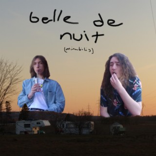 belle de nuit