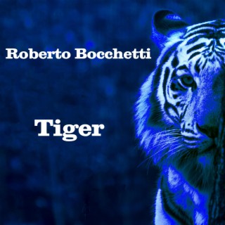 Tiger lyrics | Boomplay Music