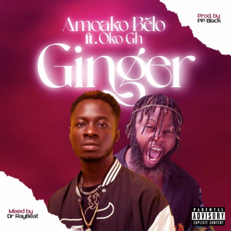 Ginger ft. Oko Gh | Boomplay Music