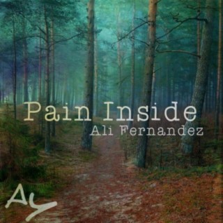Pain Inside lyrics | Boomplay Music