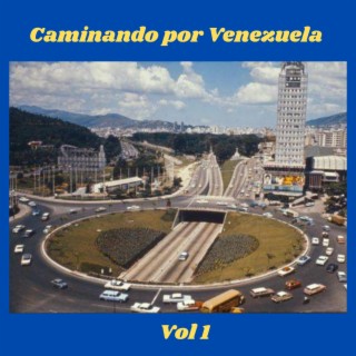 Caminando por Venezuela, Vol. 1